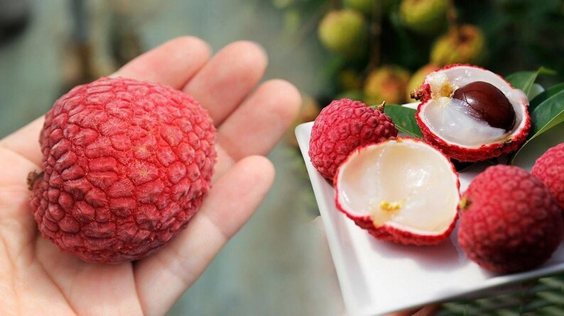 Người bị tiểu đường có ăn được vải không?